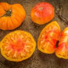 50 Seeds Natures Riddle Tomato Tomatoe Vegetable Edible Canning Flowers Garden