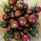 50 Seeds BLACK CHERRY Tomato Heirloom Tomatoes Juicy Vegetable Flowers Garden