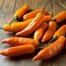 25 Seeds Ají Amarillo Pepper Vegetables Flowers Garden