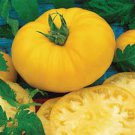 50 Seeds Brandymaster yellow Tomato Juicy Tomatoe Vegetable Flowers Garden