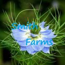25 Seeds Love in a Mist Miss Jekyll Blue Flowers Garden