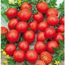 50 Seeds Favorita Tomato Juicy Tomatoe Vegetable Flowers Garden