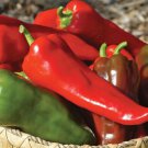 25 Seeds Corno di Toro Pepper Vegetables Flowers Garden