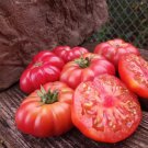 50 Seeds Bali Tomato Juicy Tomatoe Vegetable Flowers Garden