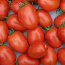 50 Seeds Pony Express Tomato Tomatoe Vegetable Edible Canning Flowers Garden