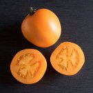 50 Seeds Valencia Tomato Tomatoe Vegetable Edible Canning Flowers Garden