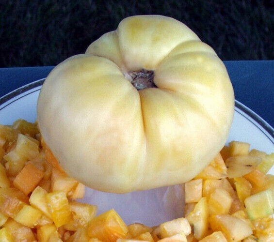 50 Seeds Big White Pink Stripe Tomato Juicy Tomatoe Vegetable Flowers Garden