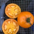 50 Seeds Nebraska Wedding Tomato Tomatoe Vegetable Edible Canning Flowers Garden