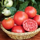 50 Seeds Old Fashioned Goliath Tomato Tomatoe Vegetable Edible Flowers Garden
