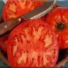 50 Seeds Magnum Tomato Tomatoe Vegetable Edible Canning Flowers Garden