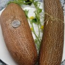 25 Seeds Brown Russian Cucumbers Flowers Garden