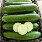 25 Seeds Tyria Cucumbers Flowers Garden