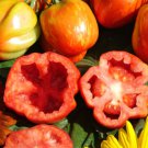 50 Seeds Striped Cavern Tomato Tomatoe Vegetable Edible Canning Flowers Garden