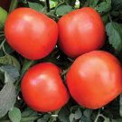 50 Seeds Debut Tomato Juicy Tomatoe Vegetable Flowers Garden