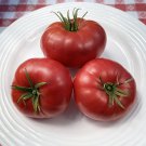 50 Seeds Rose Tomato Tomatoe Vegetable Edible Canning Flowers Garden