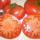 50 Seeds Malinowski Tomato Tomatoe Vegetable Edible Canning Flowers Garden