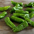 25 Seeds Shishito Pepper Vegetables Flowers Garden