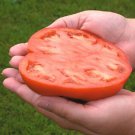 50 Seeds Country Taste Tomato Juicy Tomatoe Vegetable Flowers Garden