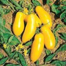 50 Seeds Roman Candle Tomato Tomatoe Vegetable Edible Canning Flowers Garden