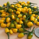 25 Seeds Cumari do Para Pepper Vegetables Flowers Garden