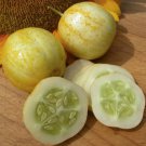25 Seeds Lemon Cucumbers Flowers Garden