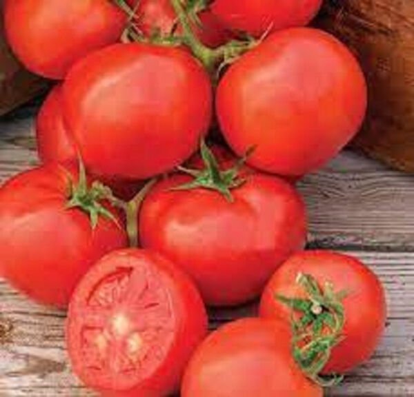 50 Seeds Oh Happy Day Tomato Tomatoe Vegetable Edible Flowers Garden