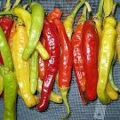 25 Seeds Charleston Hot Pepper Vegetables Flowers Garden