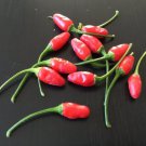 25 Seeds Pequin Pepper Vegetables Flowers Garden