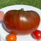 50 Seeds Buffalo Soldier Tomato Juicy Tomatoe Vegetable Edible Flowers Garden