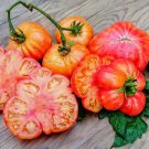 50 Seeds Old German Tomato Tomatoe Vegetable Edible Flowers Garden