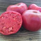 50 Seeds Mortgage Lifter Tomato Tomatoe Vegetable Edible Canning Flowers Garden