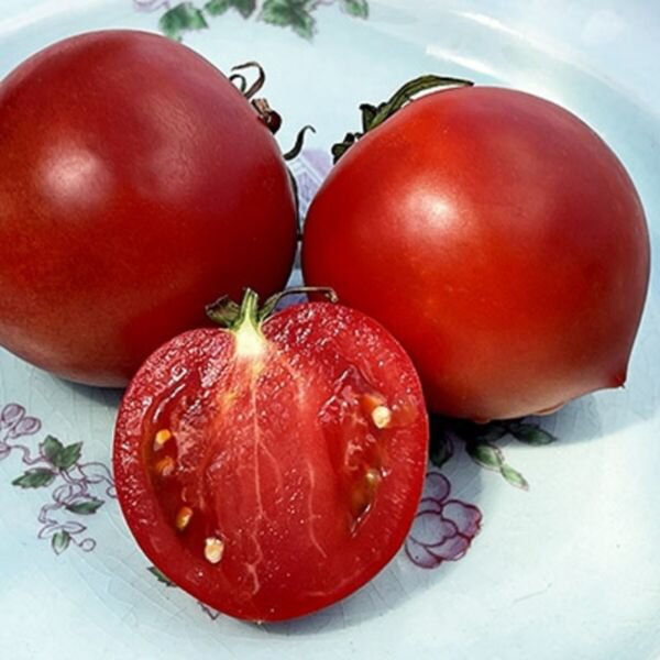 50 Seeds Rowdy Red Tomato Tomatoe Vegetable Edible Canning Flowers Garden