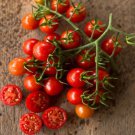 50 Seeds Sweetie Tomato Tomatoe Vegetable Edible Canning Flowers Garden