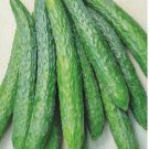 25 Seeds Shantung Suhyo Cross Cucumbers Flowers Garden