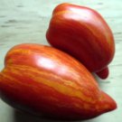 50 Seeds Stonybrook Speckled Tomato Heirloom Vegetable Tomatoe Edible Flowers Garden