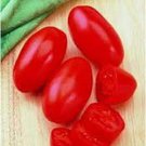 50 Seeds Classica Tomato Juicy Tomatoe Vegetable Flowers Garden