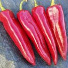 25 Seeds Italian Sweet Pepper Vegetables Flowers Garden