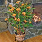 15 Seeds Golden Brush house Flowers Garden