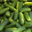 25 Seeds Maryland Cucumbers Crispy Crunchy Northern Cucks Vegetable Flowers Garden