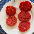 50 Seeds Sturt Desert Pea Tomato Heirloom Vegetable Tomatoe Edible Flowers Garden