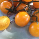 50 Seeds Nugget Tomato Tomatoe Vegetable Edible Flowers Garden