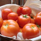 50 Seeds Colonial Tomato Juicy Tomatoe Vegetable Flowers Garden