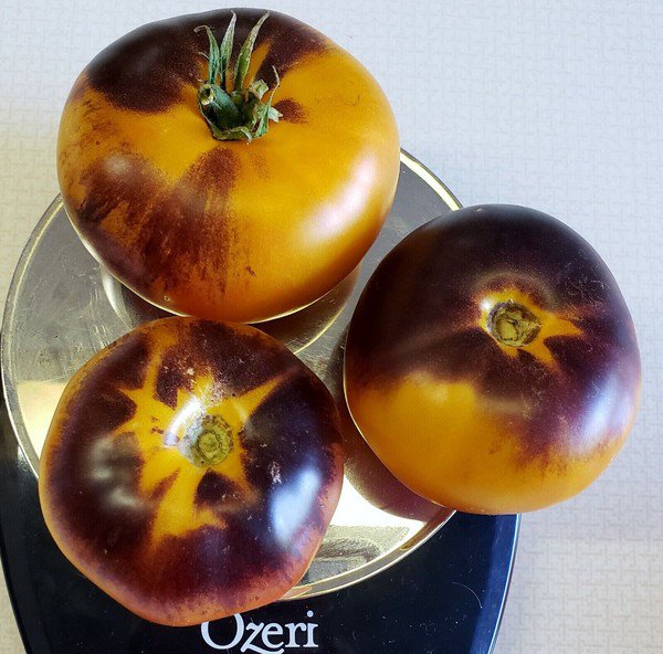 50 Seeds Lucid Gem Tomato Heirloom Tomatoes Juicy Vegetable Flowers Garden