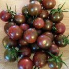 50 Seeds Chocolate Tomato Juicy Tomatoe Vegetable Flowers Garden