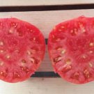 50 Seeds Slava Tomato Tomatoe Vegetable Edible Canning Flowers Garden