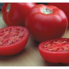 50 Seeds Bush Hybrid Red Tomato Juicy Tomatoe Vegetable Flowers Garden