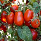 50 Seeds Cherry Roma Tomato Juicy Tomatoe Vegetable Flowers Garden