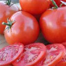 50 Seeds Oregon Spring Tomato Tomatoe Vegetable Edible Canning Flowers Garden