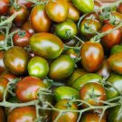50 Seeds Datterino Tigrato Tomato Tomatoe Vegetable Edible Canning Flowers Garden