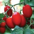 50 Seeds Amai Tomato Heirloom Vegetable Tomatoe Edible Flowers Garden